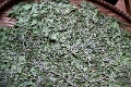 35_ile koh_chong_tissage_012